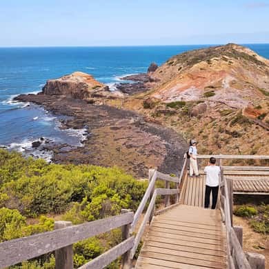 The boardwalk down the headland to the rock platform at Cape Schanck