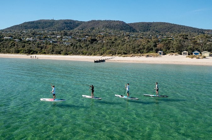 Ultimate Peninsula Adventure: Stand Up Paddle, Hot Springs, Hike, Lunch & Winery