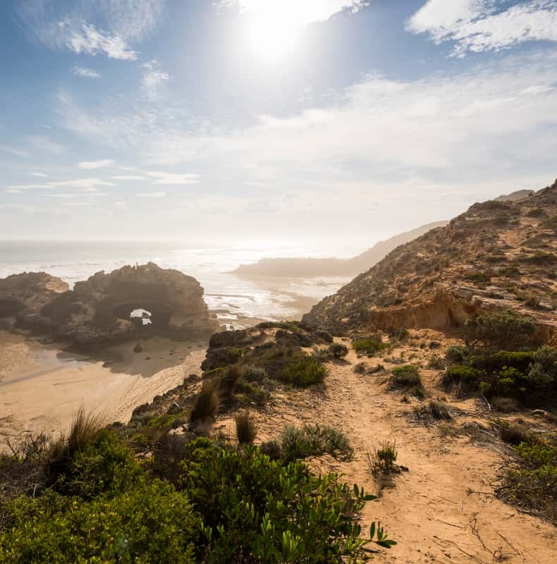 From Melbourne: Mornington Peninsula Sightseeing Tour