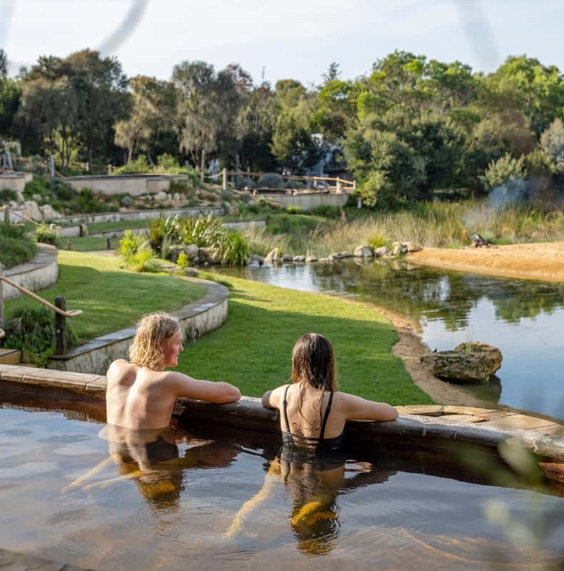 Melbourne: Small Group Peninsula Hot Springs, Lunch & Wine