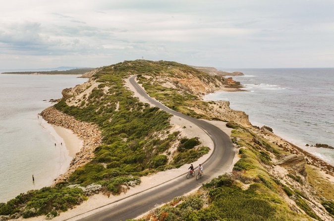 The road winding through the dunes to the tip of Point Nepean